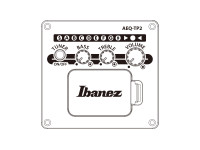Ibanez AE170TBK Transparent Black Ibanez AE170TBK Transparent Black
